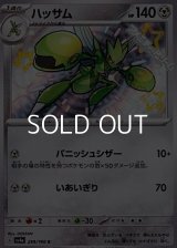 【S】ハッサム
