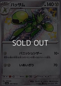 画像1: 【S】ハッサム