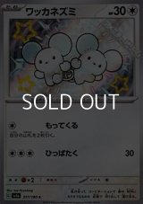 【S】ワッカネズミ