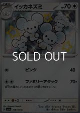 【S】イッカネズミ