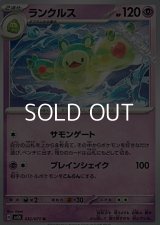 【U】ランクルス