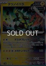 【R】テツノイバラ
