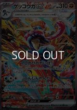 【SAR】ゲッコウガex