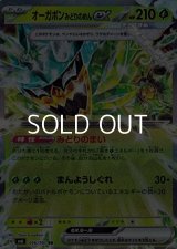 【RR】オーガポン みどりのめんex
