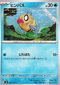 【C】ヒンバス