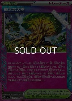 画像1: 【ACE】偉大な大樹