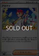 【U】アカマツ