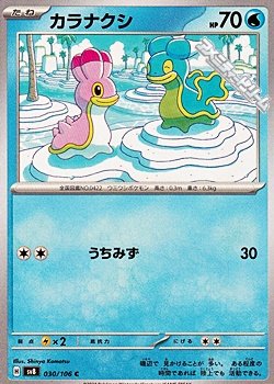 画像1: 【C】カラナクシ