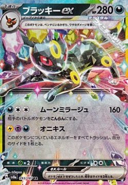 画像1: 【RR】ブラッキーex