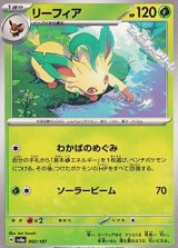 【ノーマル】リーフィア
