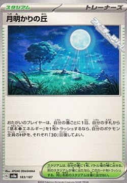 画像1: 【ノーマル】月明かりの丘