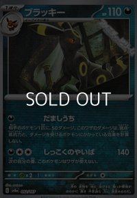 【マスターボールミラー】ブラッキー