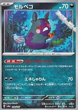 画像1: 【マスターボールミラー】モルペコ