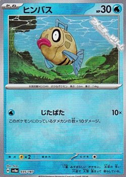 画像1: 【ミラー】ヒンバス
