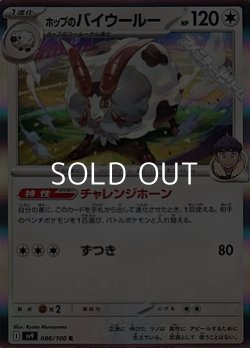 画像1: 【R】ホップのバイウールー