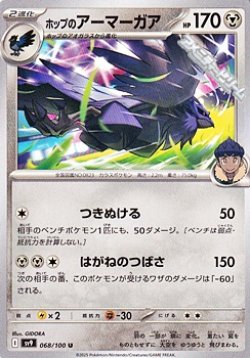 画像1: 【U】ホップのアーマーガア