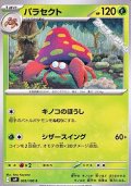 【C】パラセクト