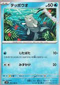 【C】テッポウオ