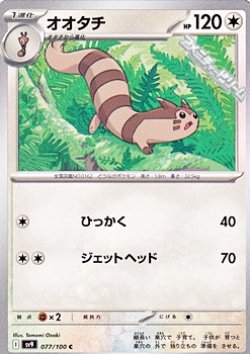 画像1: 【C】オオタチ