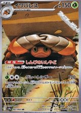 【AR】イワパレス