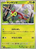 【C】ヤンヤンマ