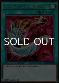 【シークレットレア】ハーピィの羽根帚