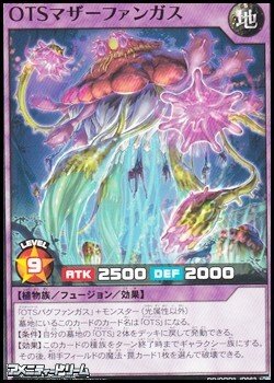 画像1: 【ノーマル】ＯＴＳマザーファンガス
