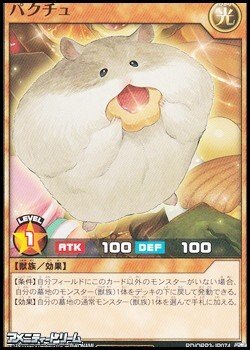 画像1: 【ノーマル】パクチュ