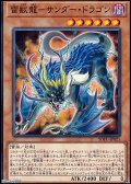 【ノーマル】雷獣龍－サンダー・ドラゴン