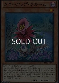 画像1: 【スーパーレア】グローアップ・ブルーム