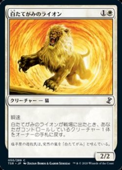 画像1: 【日本語】白たてがみのライオン/Whitemane Lion