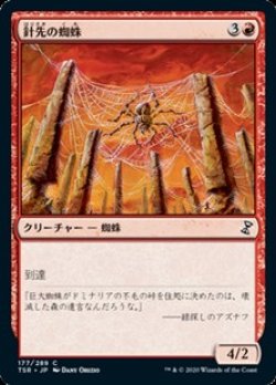 画像1: 【日本語】針先の蜘蛛/Needlepeak Spider