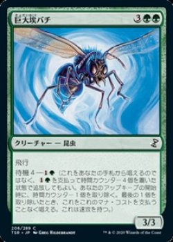 画像1: 【日本語】巨大埃バチ/Giant Dustwasp