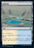 【日本語】石灰の池/Calciform Pools