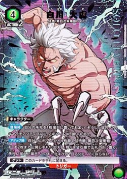 画像1: 【☆パラレル】白川 大虎