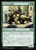 【日本語】ゴルガリの茶鱗/Golgari Brownscale