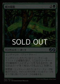 画像1: 【日本語】蛇の陰影/Snake Umbra