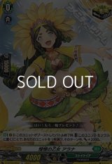 【R】憧憬の乙女 アラナ