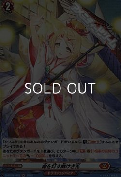 画像1: 【H】命を灯す幽けき光