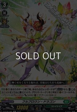 画像1: 【C】フルブロウン・ドラゴン