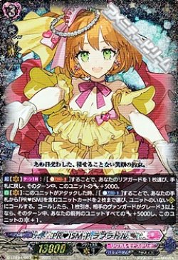 画像1: 【RRR】PR ISM-P ラブラドル