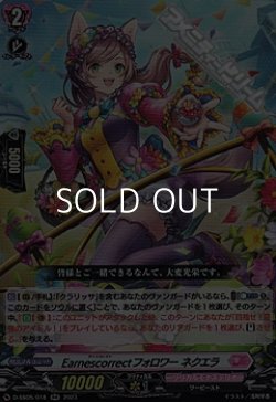 画像1: 【RR】Earnescorrectフォロワー ネクエラ