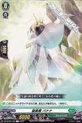 【C】憂曇華 バナナ