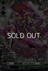 【SR】麗容の騎士 シャンネット
