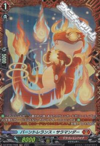 【FR】バーントレランス・サラマンダー