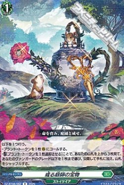 画像1: 【R】或る庭師の宝物