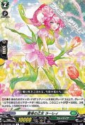 【C】愛幸の乙女 ラーレィ