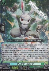 【RR】フォロワーラビッツ