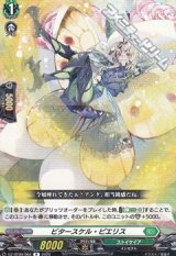 【R】ビタースケル・ピエリス