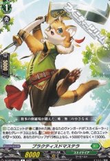 【C】プラクティスドマステラ